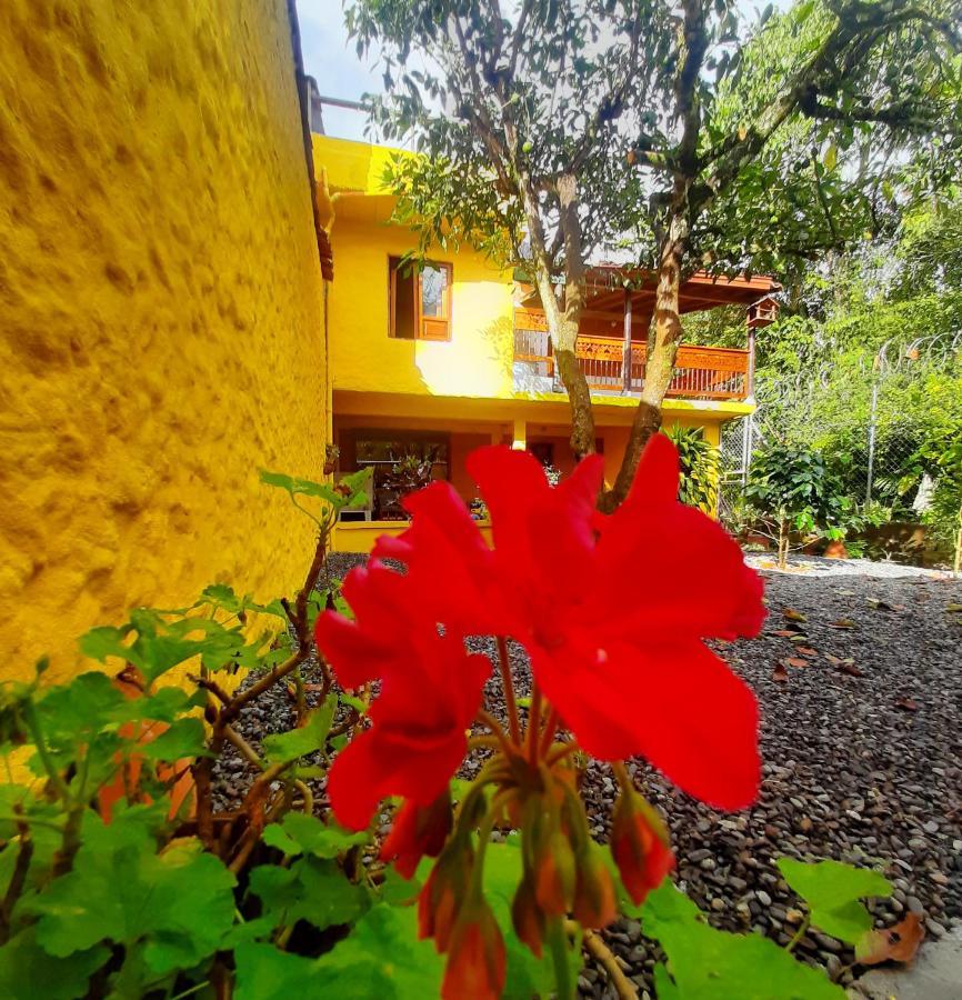 Cafe Racer Hostel Jardín Exterior foto